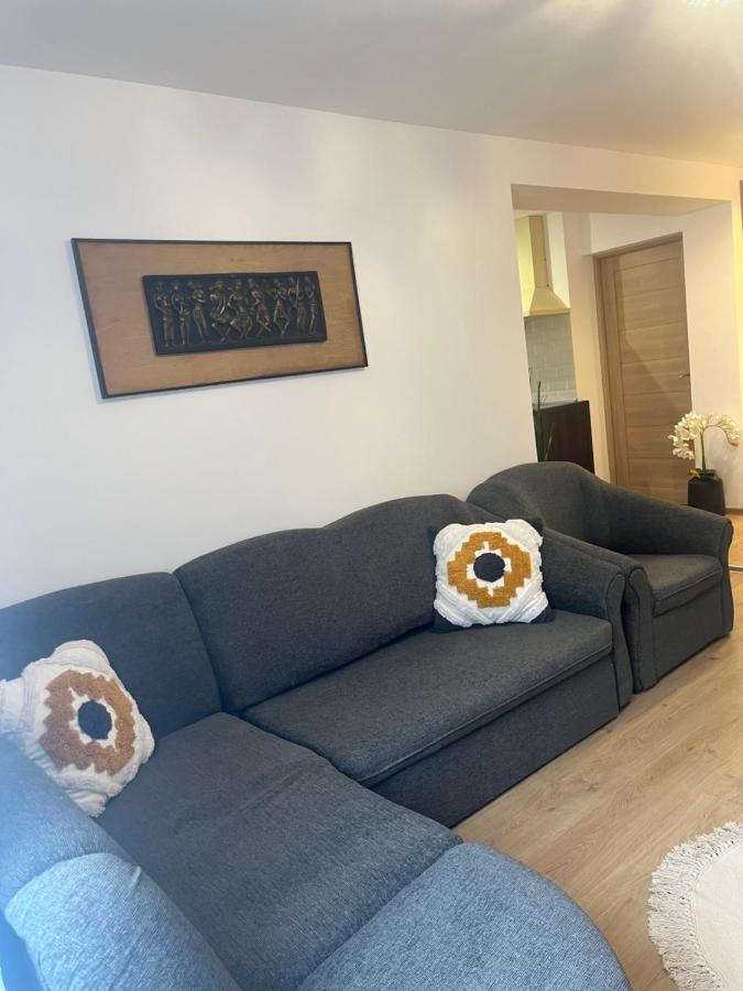 Roman Residence Apartment Борша Экстерьер фото