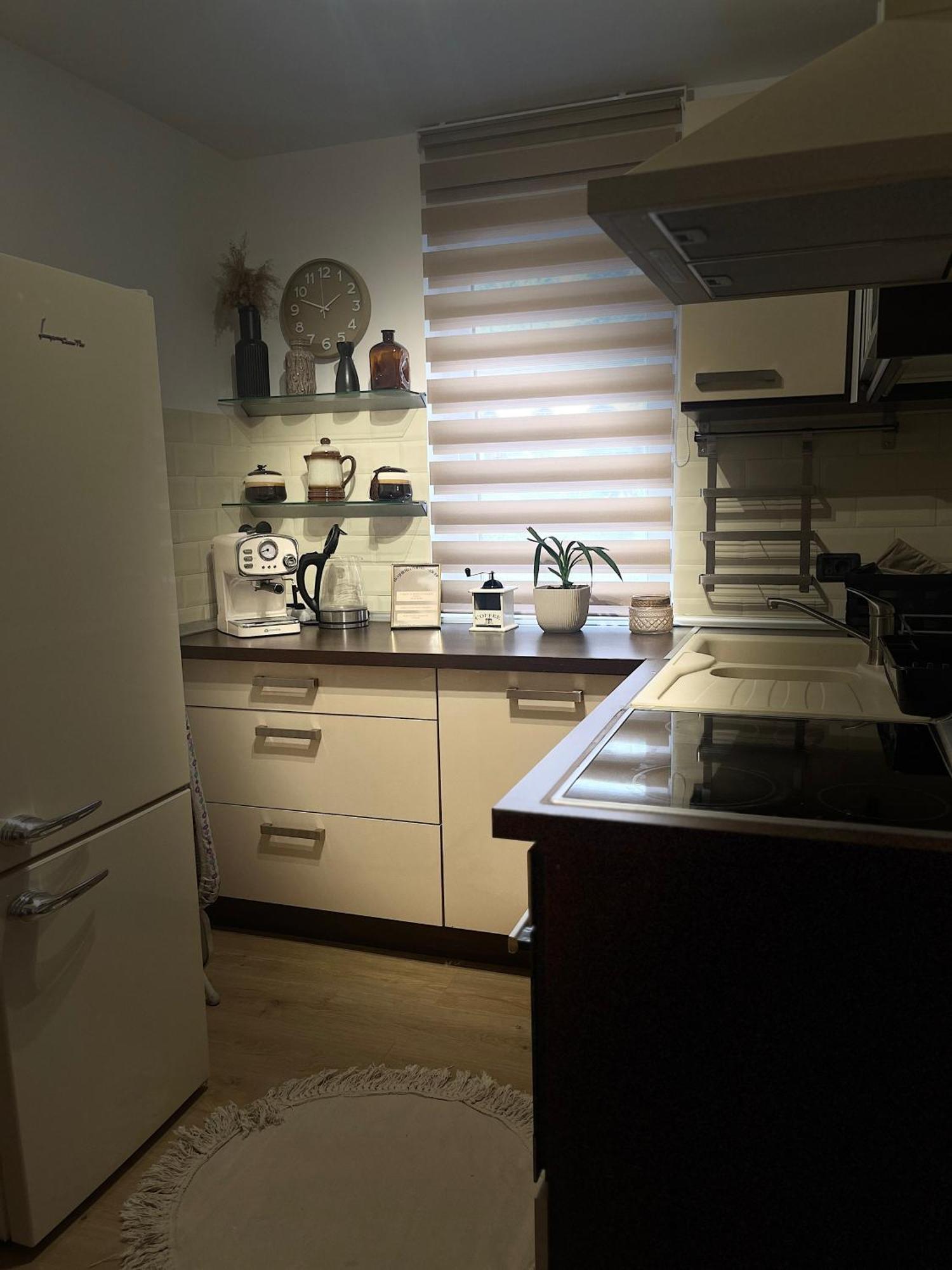 Roman Residence Apartment Борша Экстерьер фото
